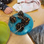 phoca_thumb_m_zajci a krmtko 18 Fotogalerie